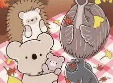 Koala's Diary